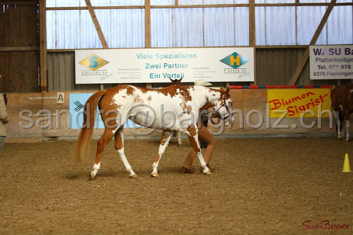 23-APHA SS_060.jpg